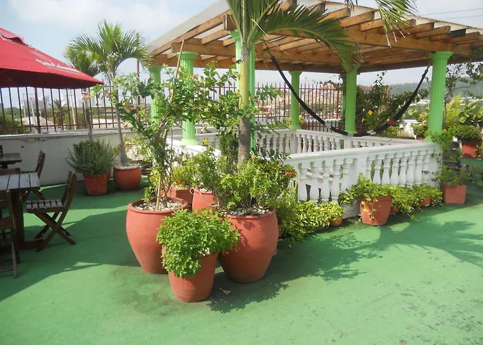 Patio De Getsemani